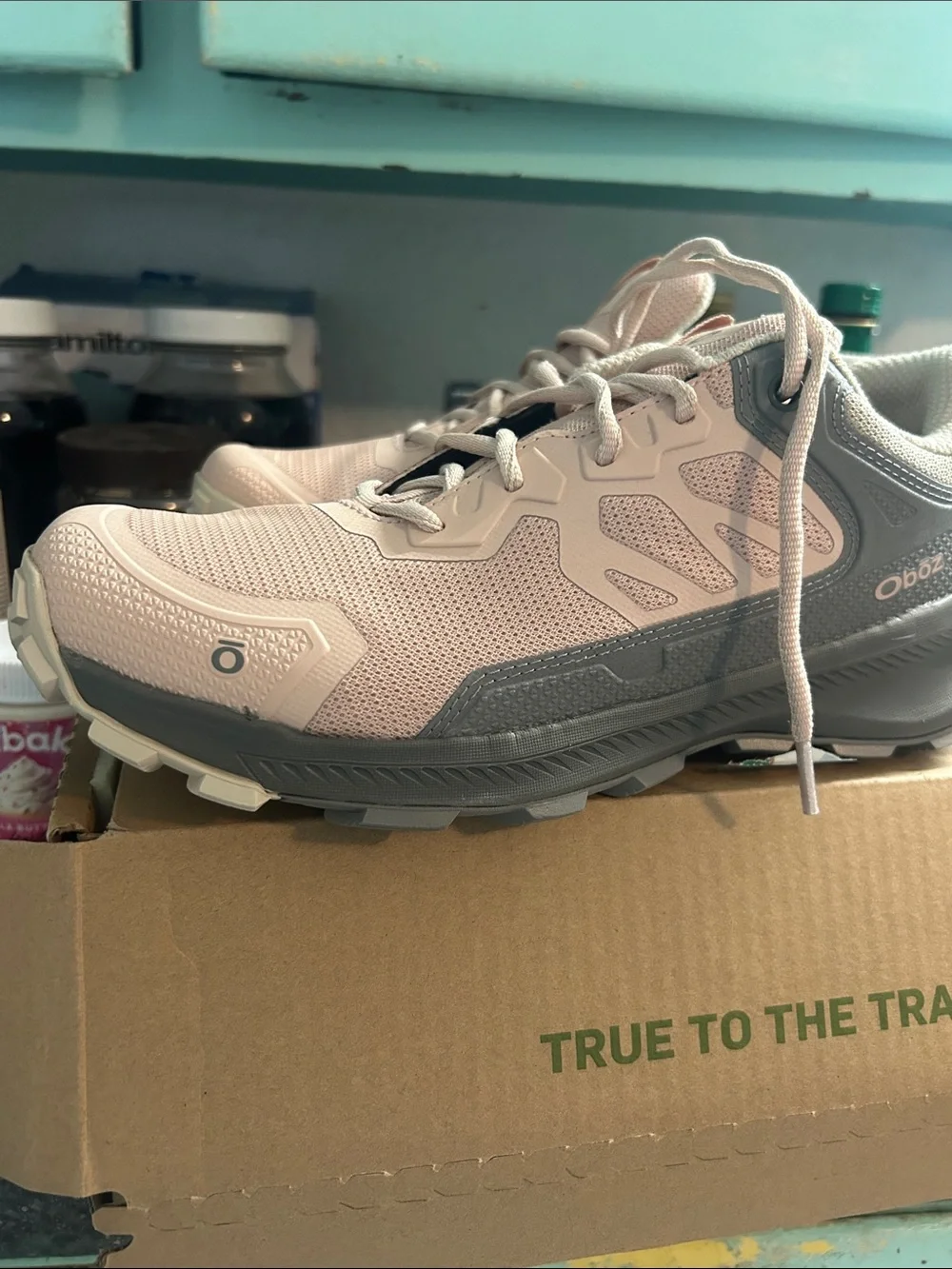 Oboz Women's Pink Trail Sneaker